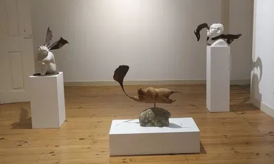 Quando for grande quero ser um passaro - content 9