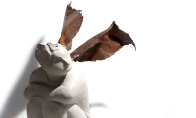 Quando for grande quero ser um passaro - content 12