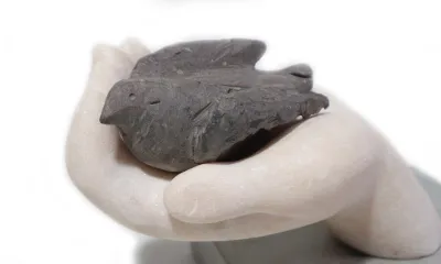 Quando for grande quero ser um passaro - content 15