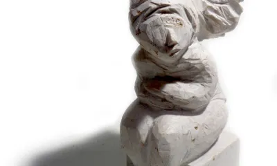 Quando for grande quero ser um passaro - content 3