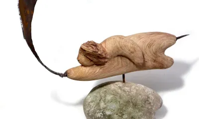 Quando for grande quero ser um passaro - content 27