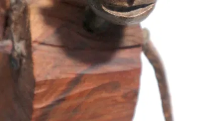 Quando for grande quero ser um passaro - content 7