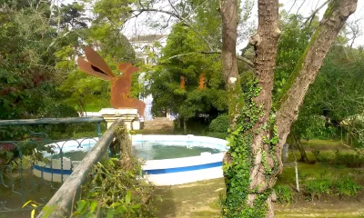 Quando for grande quero ser um passaro - content 43