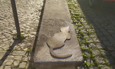 Il barolo rampante e altre storie - content 18