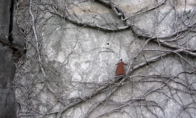 Murales desde Uruguay - content 65