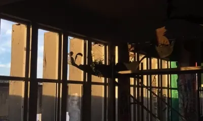 RED ZONE GALLERY - content 13