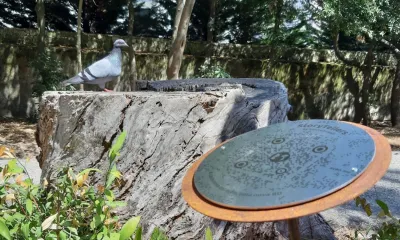 STORYTELLERS BD - content 11