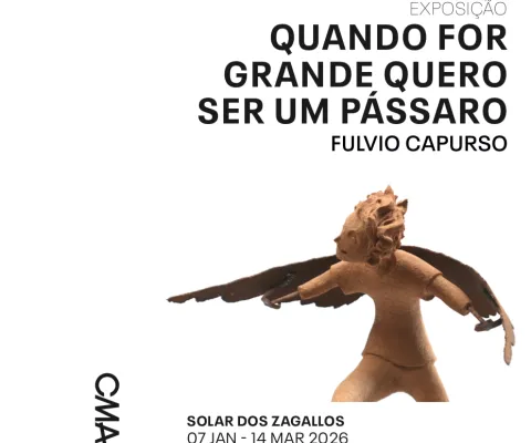 Quando for grande quero ser um passaro